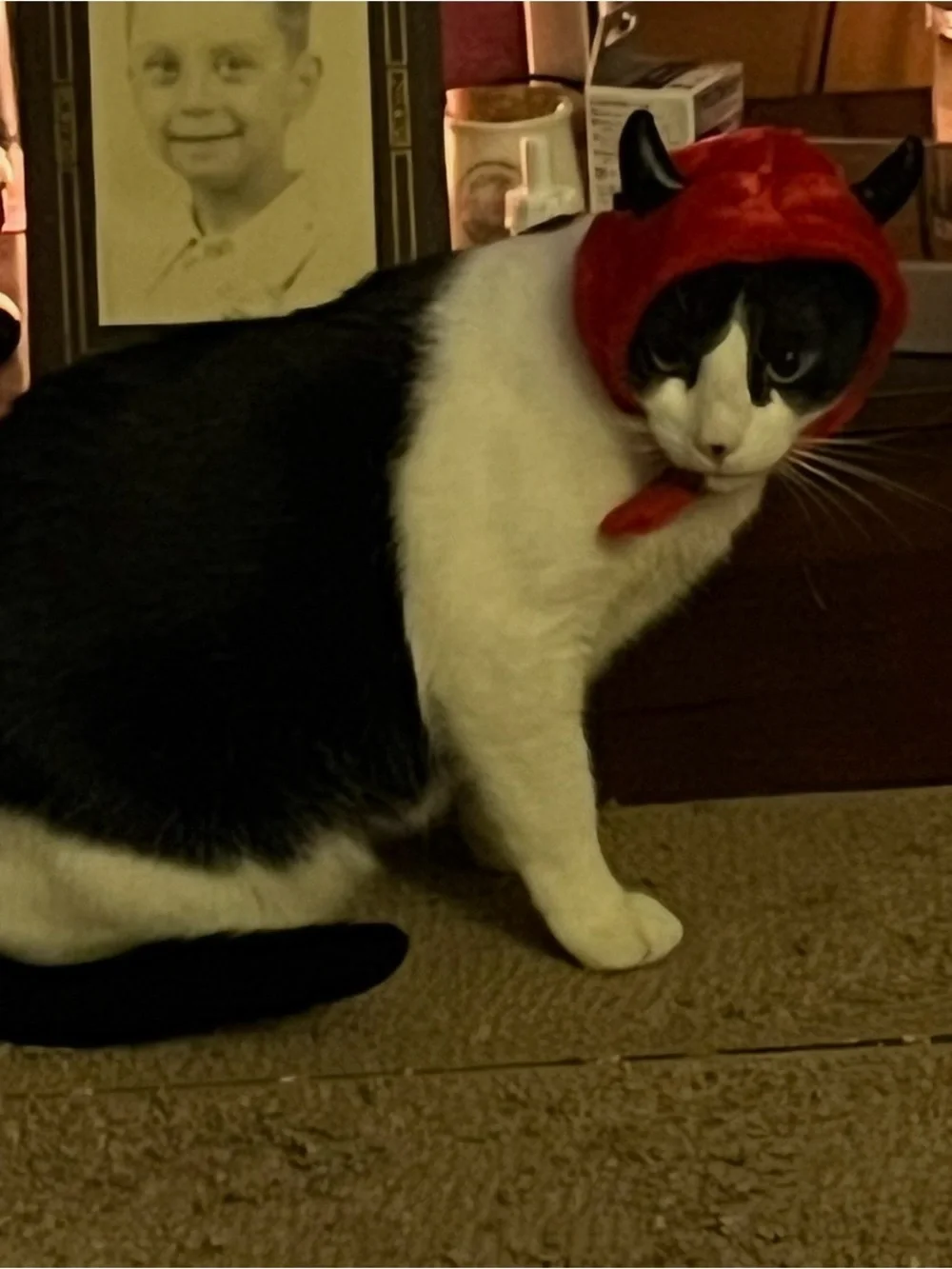 Red Plush Devil Costume for Cats - Plush Wing & Trident Set